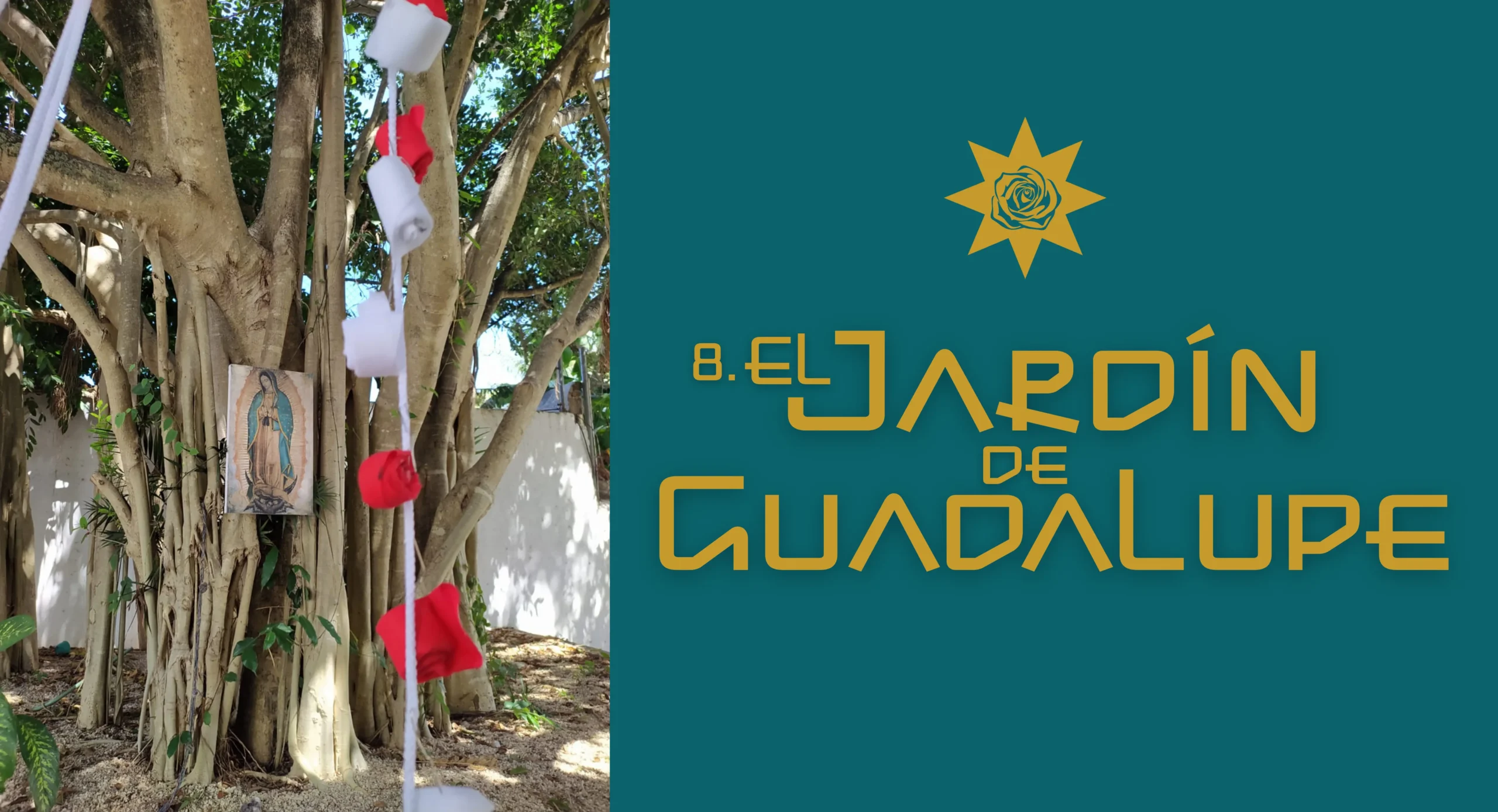 el jardín de guadalupe