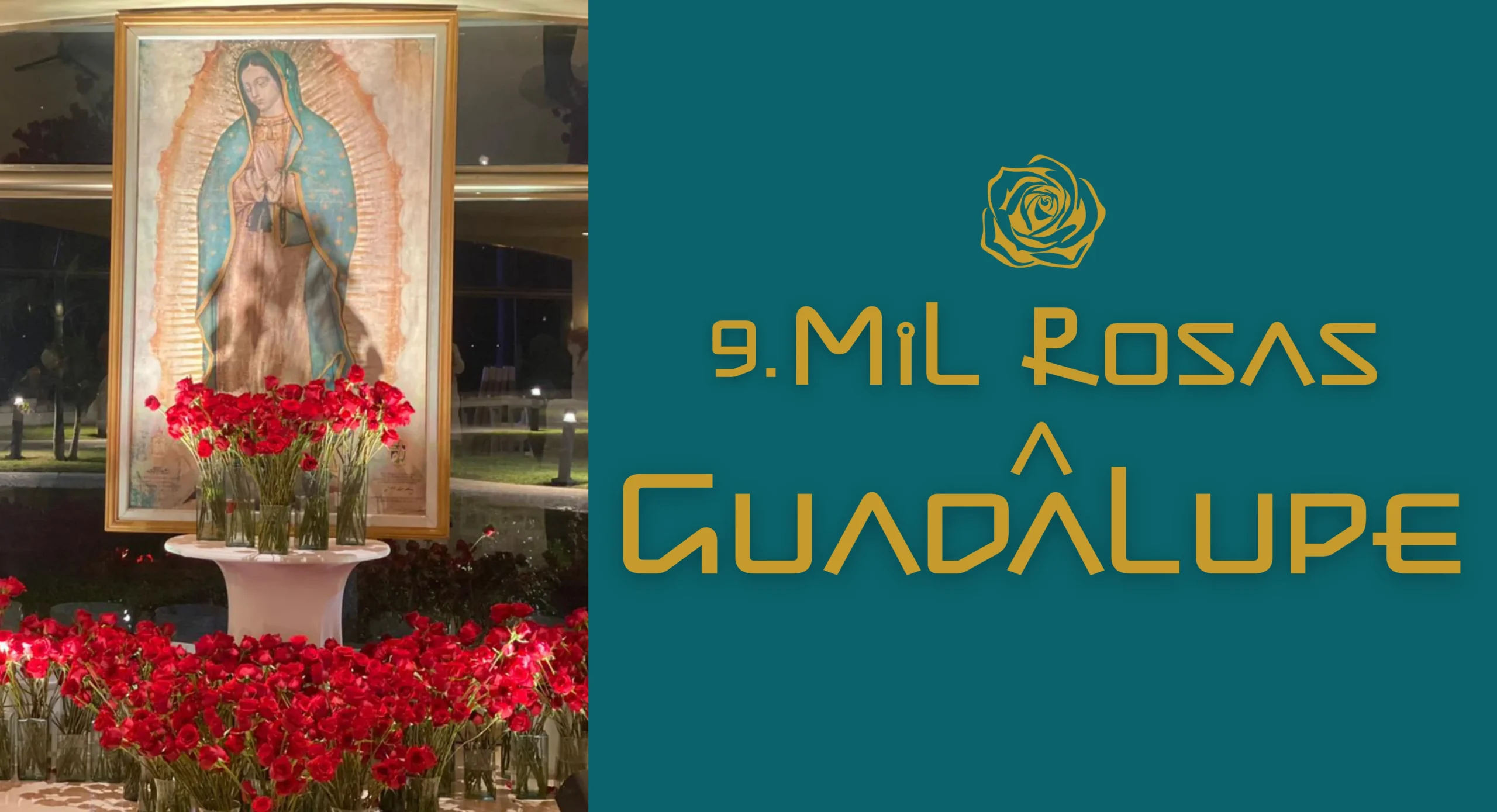 9. mil rosas a guadalupe mil rosas a guadalupe